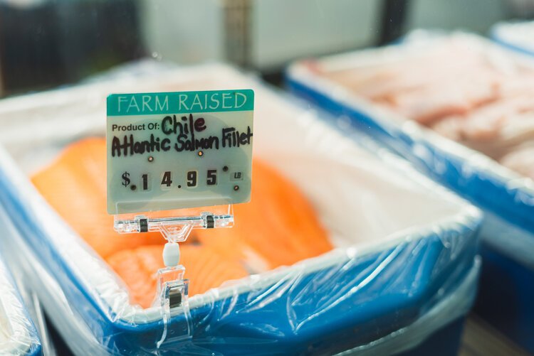 Whitefish, yellow perch, walleye, catfish, trout, cod, and more arrive daily by boat or truck to Bay Port Fish Co. in Michigan’s Thumb.