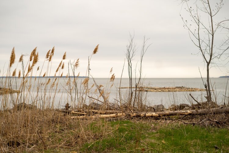 Between the tasty fish and the natural scenery, Bay Port attracts visitors from around the state every summer.