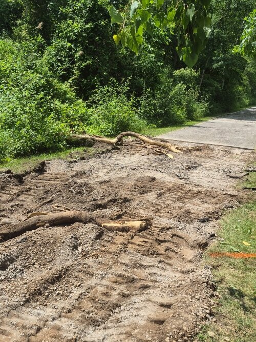 The Friends of the Bay City State Park organization raised money to supplement grants for repairs to the Frank N. Anderson Nature Trail