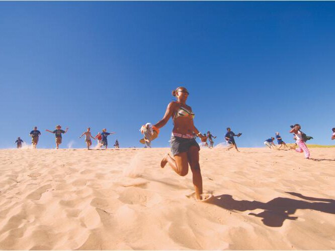 The popular Dune Climb at Sleeping Bear Dunes National Lakeshore.