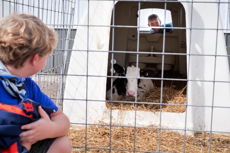 Jessica Byrant helped students explore hutches that host calves.