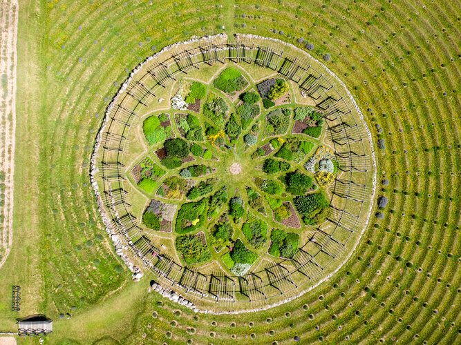 Arbors and various plants surround the lavender labyrinth at Cherry Point Farm & Market in Shelby.