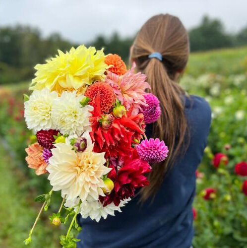 The Ankley Family Farm grows everything from Amaranth to Zinnias and other varieties.