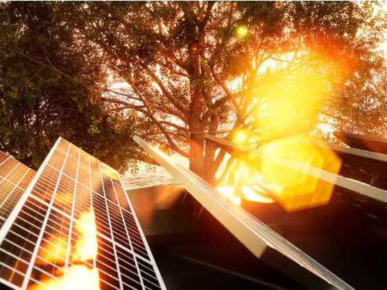 Courtesy of Electric Outdoors