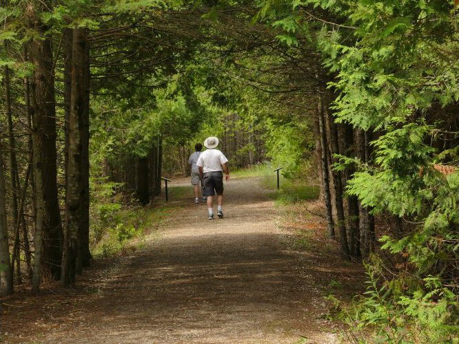 A couple walks a trail outside St. Ignace.