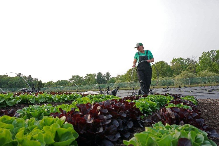 Since its founding, the farm has donated 21,054 pounds of produce to those in need in the community.