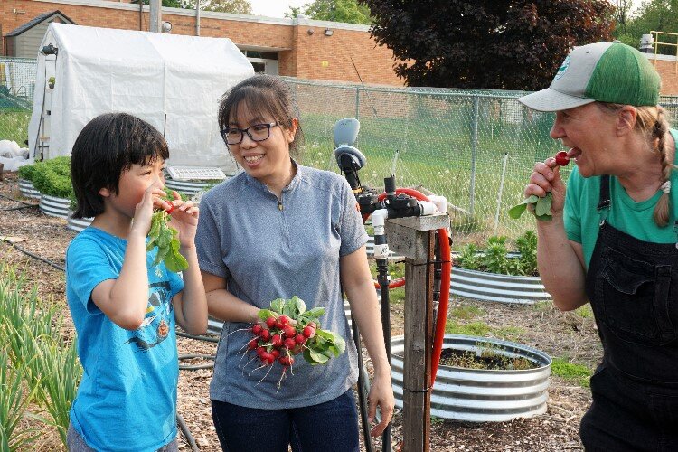Trang Betts’ son tries a radish for the first time.