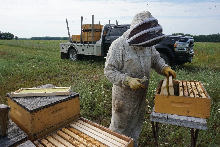 The hives are in several different locations in Midland County.