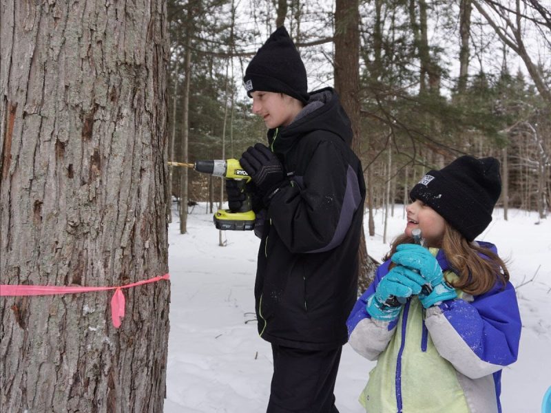 Alex Robbins, 14, and his younger sister Ella, 8, work together to tap a sugar maple tree during a SEEDS EcoSchool family event.
