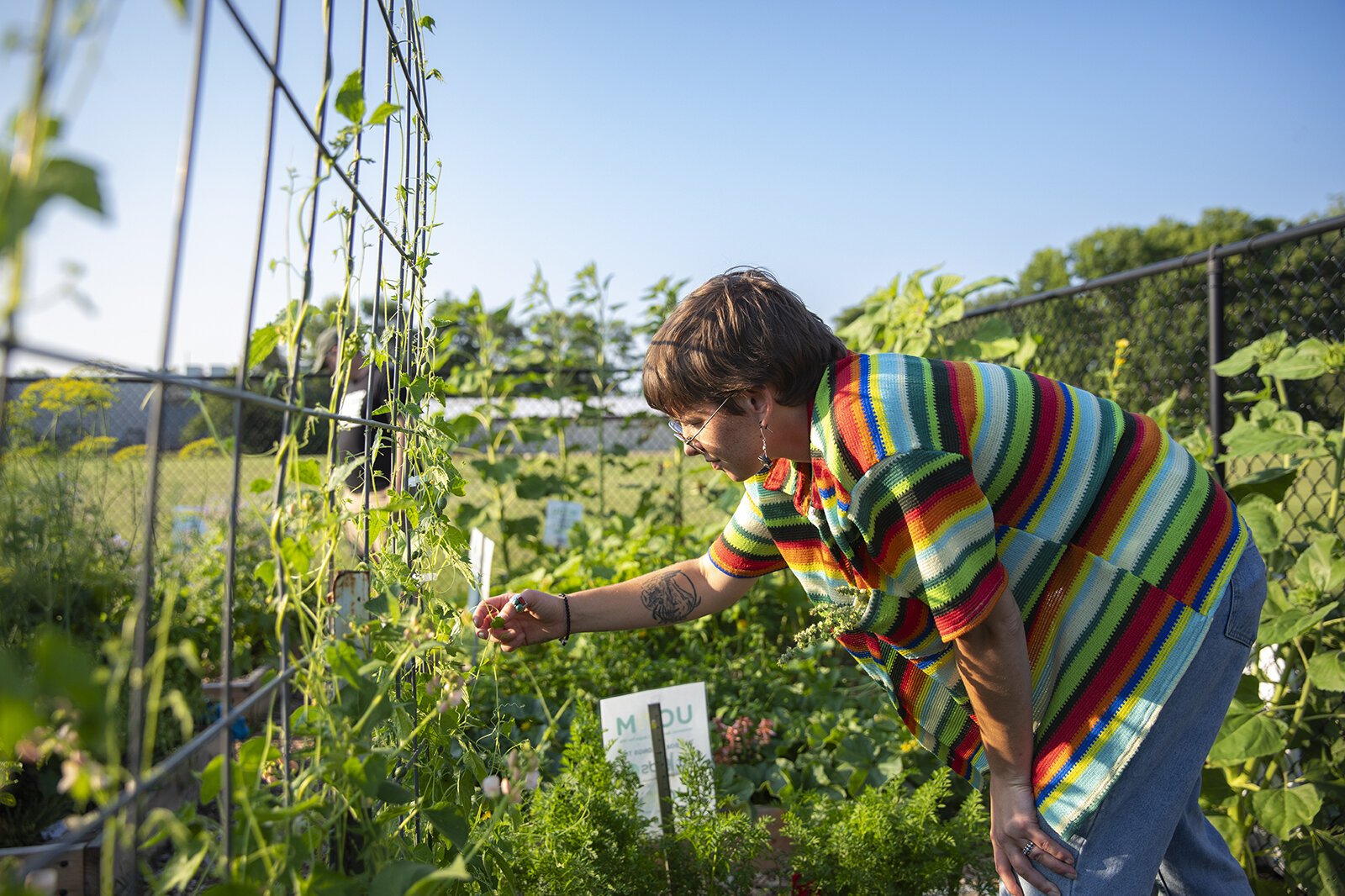 FitKids360 staffer Kaci Ellens works in the Youth Mentor Garden at Marquette Park in Wyoming, Mich.