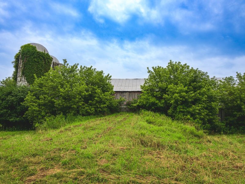 Kristen Muehlhauser of Raindance Organic Farm's farmland in Northfield Township.