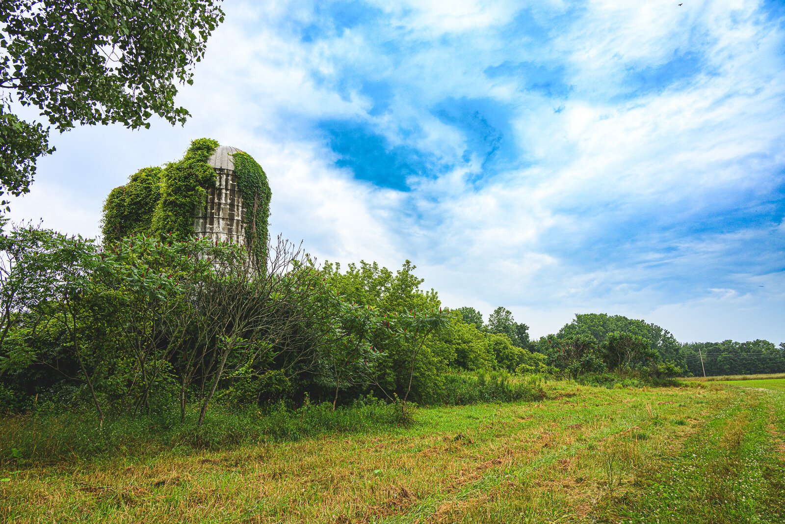 Kristen Muehlhauser of Raindance Organic Farm's farmland in Northfield Township.