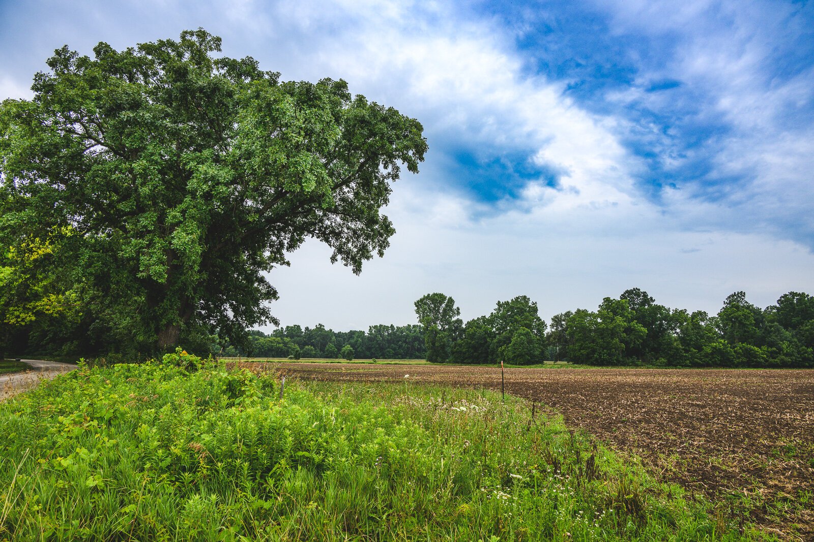 Matt Demmon of Feral Flora's farmland in Northville Township.