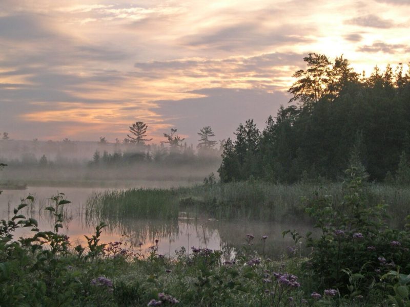 “Our role to protect the 1,502-acres that make up the natural area is made possible because of the generosity of our community," says Jenn Wright, GRNA Executive Director.