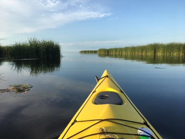 Just two miles east of Northwoods Wholesale Outlet, on Pinconning Road, you’ll find Cattail Kayak Rental in Pinconning County Park, on the Saginaw Bay.