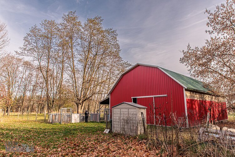 Bridget Kavanagh's farm is located outside Mason in Ingham County.