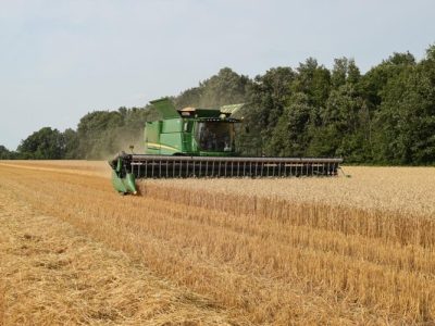Up to 15 Saginaw Valley wheat farmers will be accepted into the sustainability and incentive program each year.