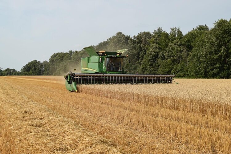 Up to 15 Saginaw Valley wheat farmers will be accepted into the sustainability and incentive program each year.