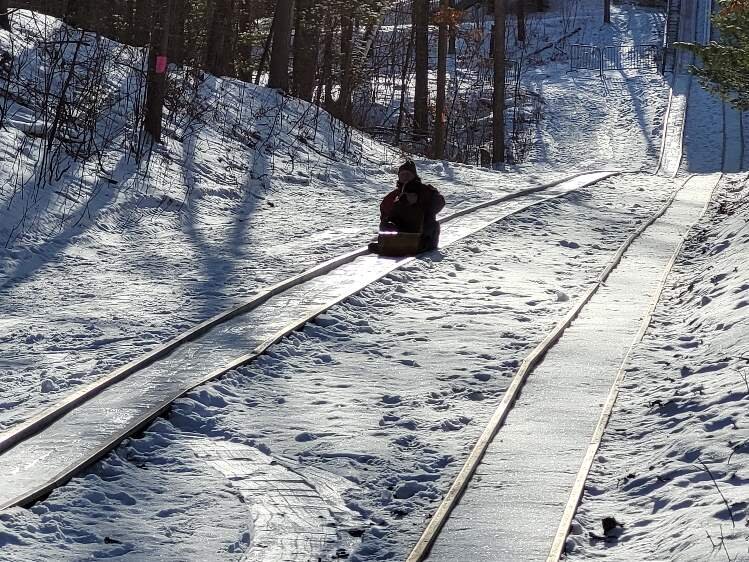 Beautiful day for a toboggan ride at City Forest.