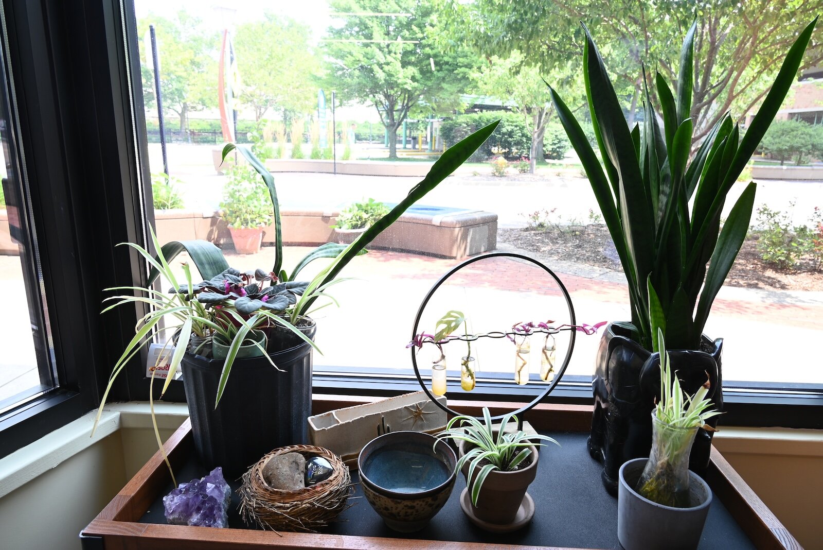 Looking out from two windows inside the Uproot Market and Eatery toward West Michigan Avenue