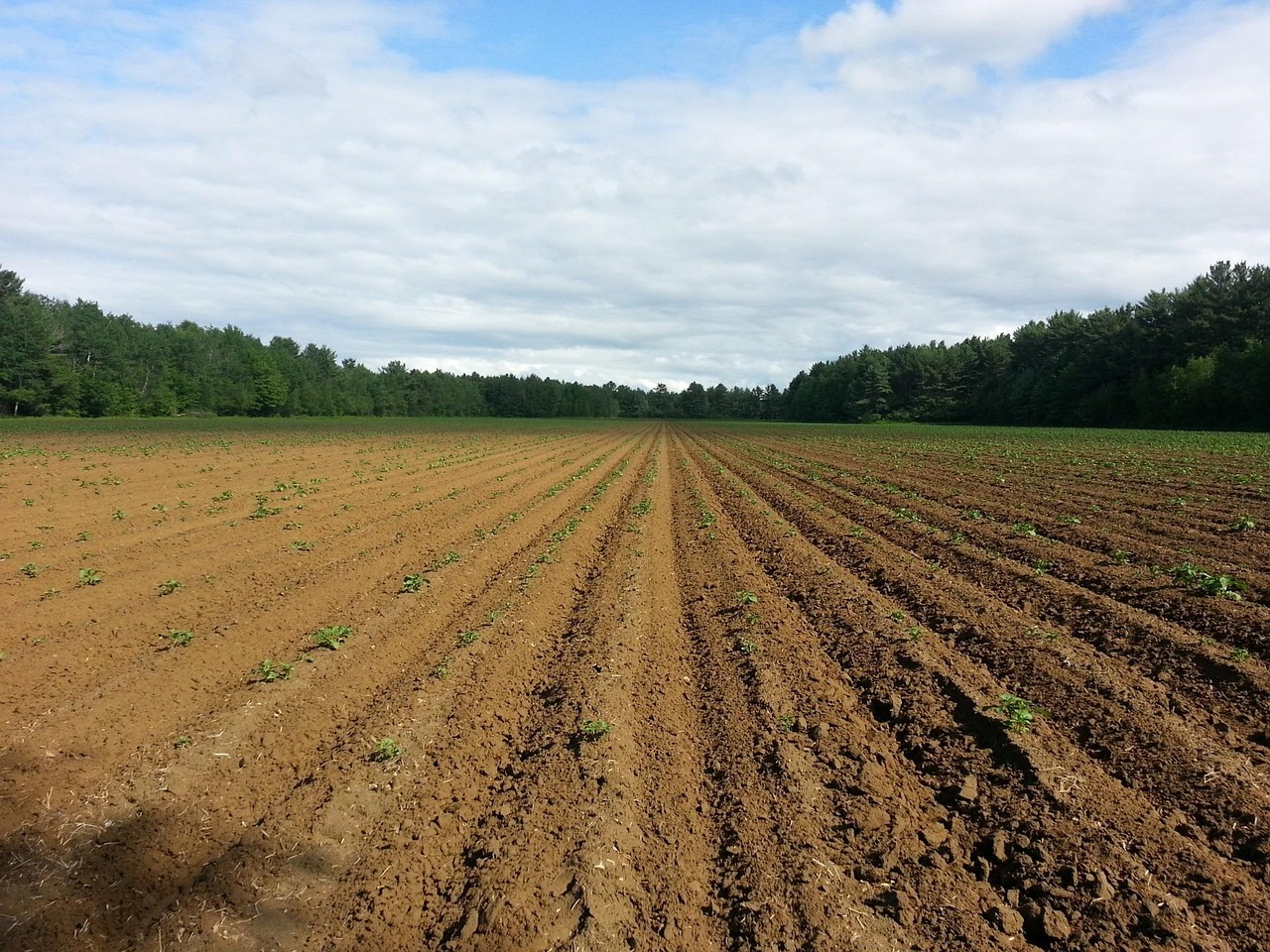 MSU Regenerative Ag Series 2026: Soil Health & Farm Resilience